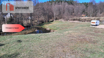 Duża Działka z domem w budowie z dostępem do rzeki - Płytnica  -
Wielkopolskie Zdjęcie nr 6