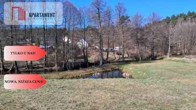 Duża Działka z domem w budowie z dostępem do rzeki - Płytnica  -
Wielkopolskie Zdjęcie nr 9