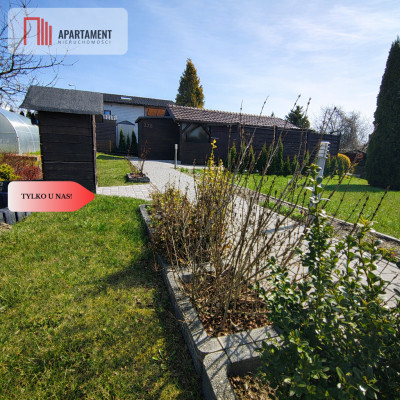 Działka ROD z domkiem letniskowym  - Chojnice  -
Pomorskie Zdjęcie nr 4