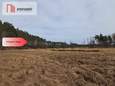 Działka  1140 ha w lesie przy rzece Wda-Smolniki - Smolniki  -
Pomorskie Zdjęcie nr 2