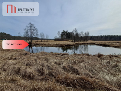 Działka  1140 ha w lesie przy rzece Wda-Smolniki - Smolniki  -
Pomorskie Zdjęcie nr 4