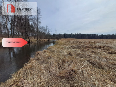 Działka  1140 ha w lesie przy rzece Wda-Smolniki - Smolniki  -
Pomorskie Zdjęcie nr 7