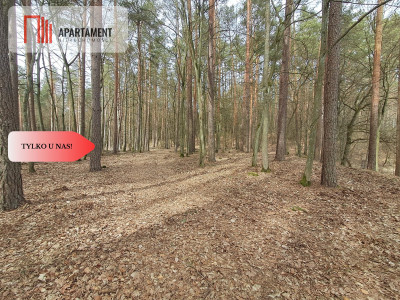 Działka  1140 ha w lesie przy rzece Wda-Smolniki - Smolniki  -
Pomorskie Zdjęcie nr 8