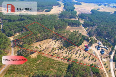 Działka z potencjałem inwestycyjnym na Kaszubach - Przewóz  -
Pomorskie Zdjęcie nr 2