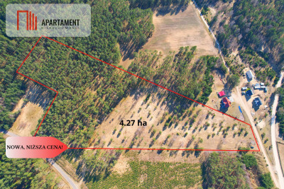 Działka z potencjałem inwestycyjnym na Kaszubach - Przewóz  -
Pomorskie Zdjęcie nr 3