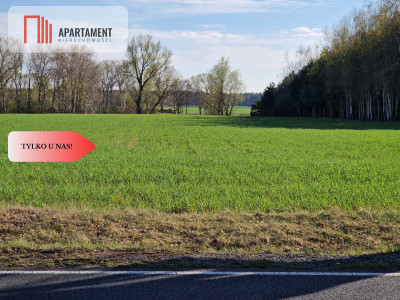 Działki budowlane niedaleko jeziora - Kołdrąb  - Kujawsko-Pomorskie