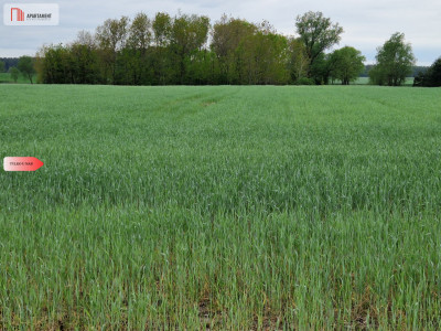 Działki budowlane niedaleko jeziora - Kołdrąb  -
Kujawsko-Pomorskie Zdjęcie nr 3