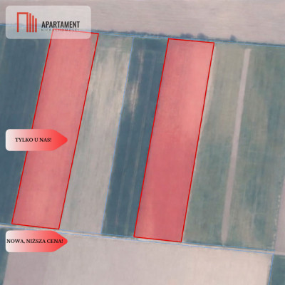 Działki rolne Wielki Wełcz blisko Grudziądz - Wielki Wełcz  - Kujawsko-Pomorskie