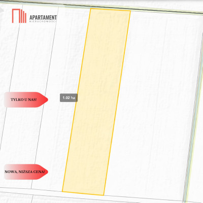 Działki rolne Wielki Wełcz blisko Grudziądz - Wielki Wełcz  -
Kujawsko-Pomorskie Zdjęcie nr 3