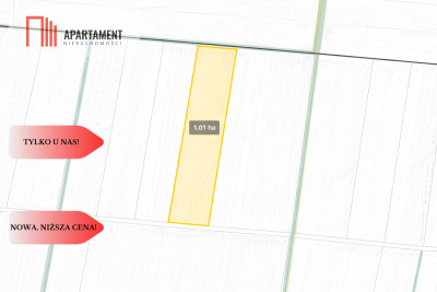 Działki rolne Wielki Wełcz blisko Grudziądz - Wielki Wełcz  -
Kujawsko-Pomorskie Zdjęcie nr 5