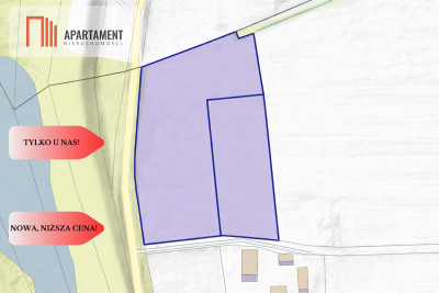 Działki rolne Wielki Wełcz blisko Grudziądz - Wielki Wełcz  -
Kujawsko-Pomorskie Zdjęcie nr 6