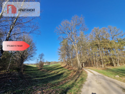 Działka siedliskowa 2 ha w Skorzewie - Skorzewo  - Pomorskie