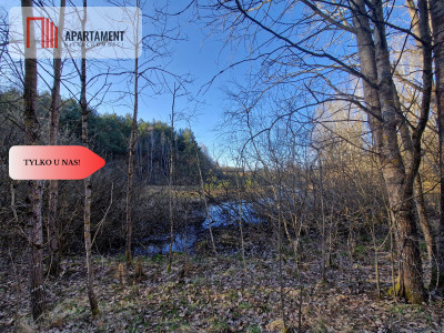 Działka siedliskowa 2 ha w Skorzewie - Skorzewo  -
Pomorskie Zdjęcie nr 2