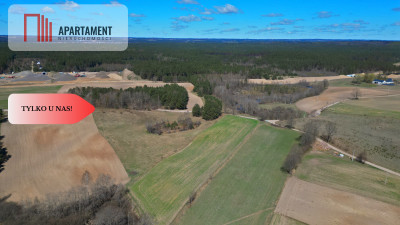 Działka siedliskowa 2 ha w Skorzewie - Skorzewo  -
Pomorskie Zdjęcie nr 6