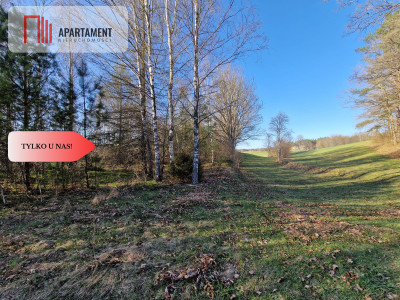 Działka siedliskowa 2 ha w Skorzewie - Skorzewo  -
Pomorskie Zdjęcie nr 9