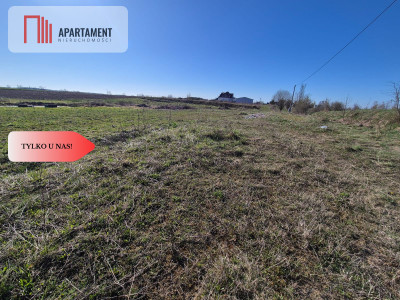 Gotowa działka budowlana w Więckowach - Więckowy  -
Pomorskie Zdjęcie nr 11