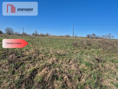 Gotowa działka budowlana w Więckowach - Więckowy  -
Pomorskie Zdjęcie nr 12