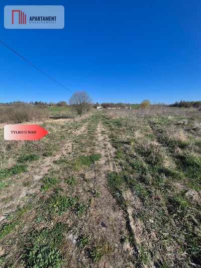 Gotowa działka budowlana w Więckowach - Więckowy  -
Pomorskie Zdjęcie nr 9