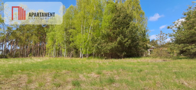 Działka z widokiem na jezioro - MPZP - Kierzkowo  -
Kujawsko-Pomorskie Zdjęcie nr 8