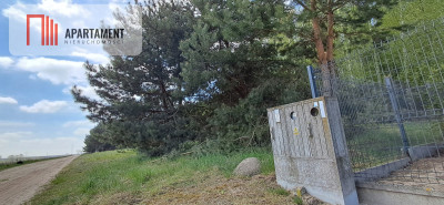Działka z widokiem na jezioro - MPZP - Kierzkowo  -
Kujawsko-Pomorskie Zdjęcie nr 9