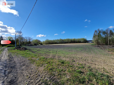 Działka w Zajezierzu 300 m od jeziora - Zajezierze  -
Pomorskie Zdjęcie nr 3