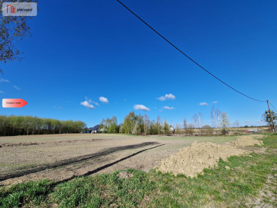 Działka w Zajezierzu 300 m od jeziora - Zajezierze  -
Pomorskie Zdjęcie nr 6