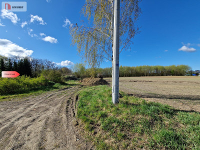 Działka w Zajezierzu 300 m od jeziora - Zajezierze  -
Pomorskie Zdjęcie nr 8