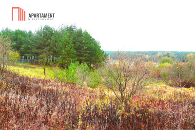 OFERTA TYLKO DLA KONESERA PRESTIŻ  w mieście - Bydgoszcz  -
Kujawsko-Pomorskie Zdjęcie nr 3