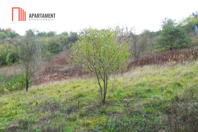 OFERTA TYLKO DLA KONESERA PRESTIŻ  w mieście - Bydgoszcz  -
Kujawsko-Pomorskie Zdjęcie nr 4