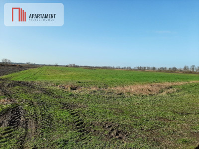 Działki w Nowym Kompleksie - powiat bydgoski  -
Kujawsko-Pomorskie Zdjęcie nr 2