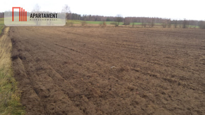 Działka w cichej i spokojnej okolicy - powiat sztumski  -
Pomorskie Zdjęcie nr 2