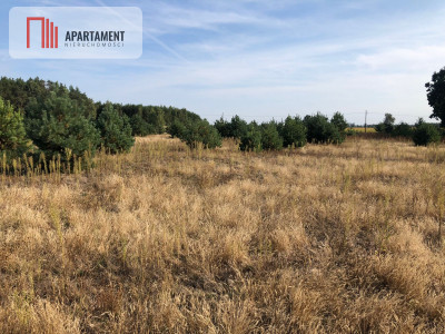 Tylko u nas  Działka na osiedlu pod lasem  - powiat bydgoski  -
Kujawsko-Pomorskie Zdjęcie nr 2