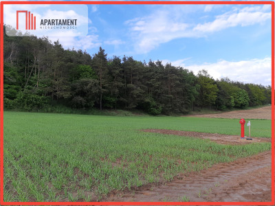 Atrakcyjne działki budowlane w Załachowie - powiat żniński  - Kujawsko-Pomorskie