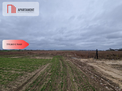 Tanie działki z Miejscowym Planem - Kania  -
Kujawsko-Pomorskie Zdjęcie nr 4