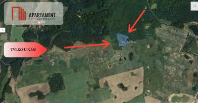 TYLKO U NAS Działka Rolna Trzcianka Mirowo Małe - Kamierowskie Piece  -
Pomorskie Zdjęcie nr 2