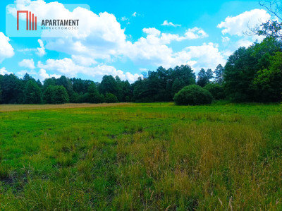 Pięknie położona duża działka w Sarnowie - Sarnowo  -
Kujawsko-Pomorskie Zdjęcie nr 12