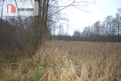 Pięknie położona duża działka w Sarnowie - Sarnowo  -
Kujawsko-Pomorskie Zdjęcie nr 2