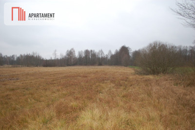 Pięknie położona duża działka w Sarnowie - Sarnowo  -
Kujawsko-Pomorskie Zdjęcie nr 6