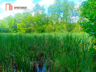 Pięknie położona duża działka w Sarnowie - Sarnowo  -
Kujawsko-Pomorskie Zdjęcie nr 8