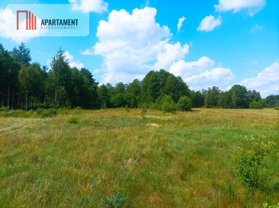 Pięknie położona duża działka w Sarnowie - Sarnowo  -
Kujawsko-Pomorskie Zdjęcie nr 9