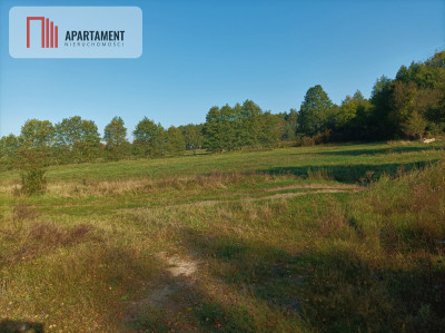 ATRAKCYJNA ZACISZNA I ZIELONA DZIAŁKA  - powiat toruński  -
Kujawsko-Pomorskie Zdjęcie nr 4