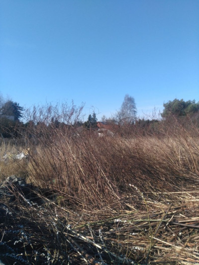 Na sprzedaż działka budowlana - Luboń -
wielkopolskie Zdjęcie nr 12