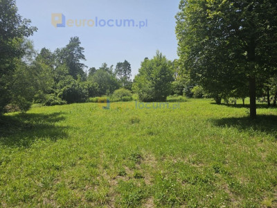 Na sprzedaż działka budowlana - Trzcianki -
świętokrzyskie Zdjęcie nr 4