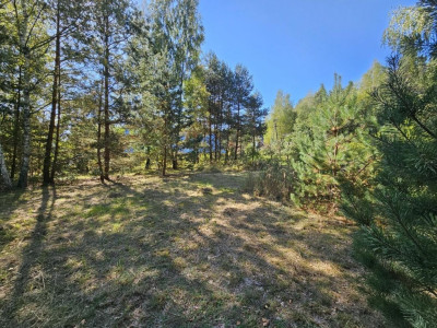 Na sprzedaż działka budowlana - Trzemosna -
świętokrzyskie Zdjęcie nr 4