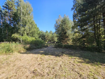 Na sprzedaż działka budowlana - Trzemosna -
świętokrzyskie Zdjęcie nr 5