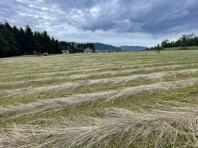 Działka budowlana 930 m2 Podłopień -
Małopolskie Zdjęcie nr 2