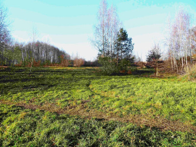 Na sprzedaż działka budowlana - Poznań -
wielkopolskie Zdjęcie nr 2