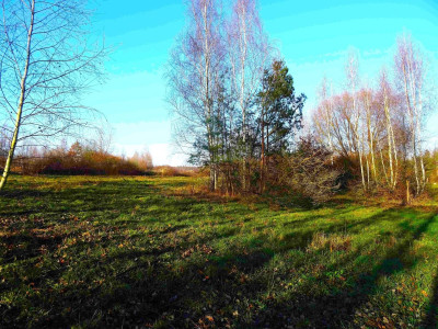 Na sprzedaż działka budowlana - Poznań -
wielkopolskie Zdjęcie nr 4