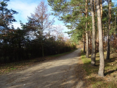 Na sprzedaż działka budowlana - Borówiec -
wielkopolskie Zdjęcie nr 2