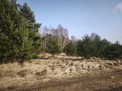 Na sprzedaż działka budowlana - Karczewko -
wielkopolskie Zdjęcie nr 3